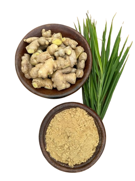 About Ikenga Tropical